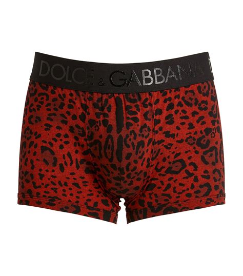 dolce gabbana underwear leopard|dolce and gabbana boxer briefs.